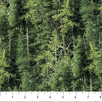 Naturescapes